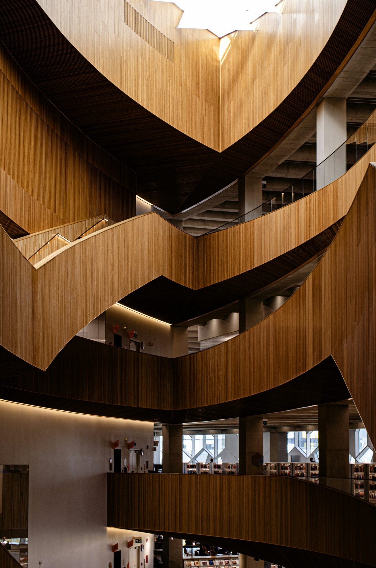 An educational library interior, used as an editorial illustration